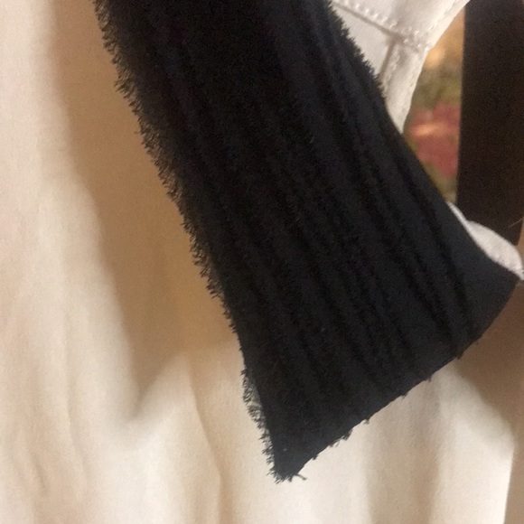 Cream and black Pins and Needles Dress - Picture 6 of 7